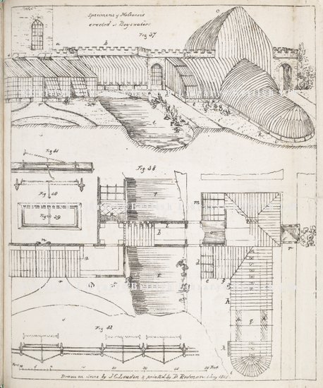 from Loudon's Sketches for Curvilinear Hothouses, 1818 British Library