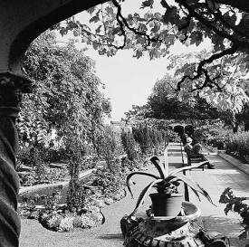 The Spanish Garden on the roof of the Derry and Toms Building in Kensington High Street. © English Heritage.NMR Reference Number: AA084998