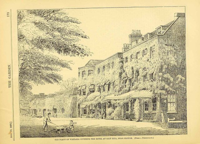 Salt Hill Hotel, from The Garden, August 3o, 1873