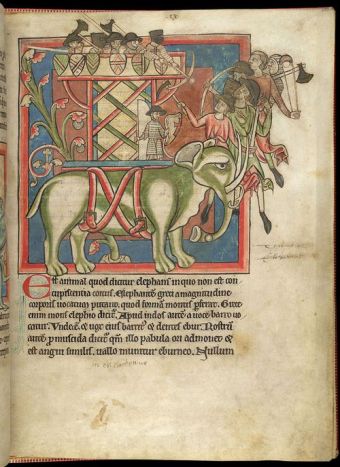 Miniature of an elephant and castle; from a bestiary, England, mid 13th century, Harley MS 4751