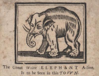 ―The Great White Elephant‖ (Printed between 1702 and 1714) Bodleian Library, University of Oxford