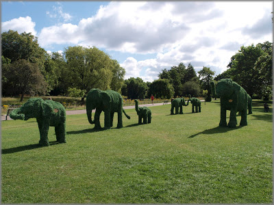 fromhttp://londonselephants.blogspot.co.uk Regents Park July 2008