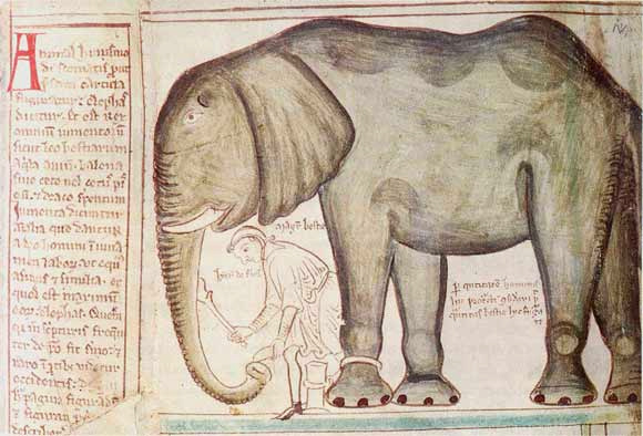 Henry III's elephant from Matthew Paris, Corpus Christi College, Cambridge, Parker Ms 16.