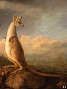 The Kongrou from New Holland, George Stubbs, 1773, National Maritime Museum