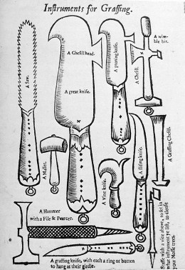 from Leonard Mascall, A booke of the arte and maner, howe to plant and graffe all sortes of trees,1572