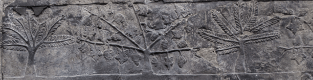 Detail from a stone relief from xxxx Britsih Museum