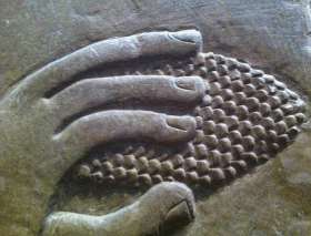 Deatil of a pine cone from a relief of King Assurnasipal II, British Museum