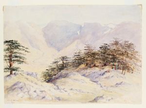 watercolour by Maria Matthias, 1857 V&A