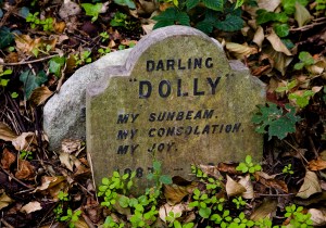 from http://londoninsight.wordpress.com/2010/10/06/pet-cemetery-hyde-park/