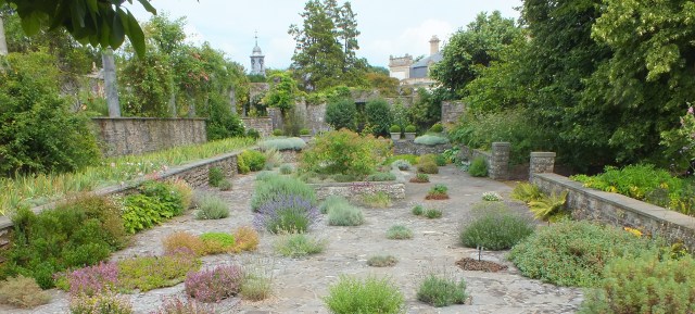 The Meditteranean Garden David Marsh 2014