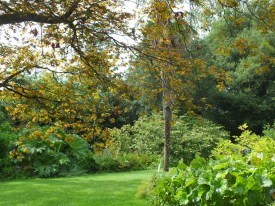 The Woodland Walk David Marsh 2014