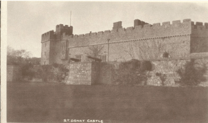 from the Peter Davis Collection at Parks and Gardens UK.