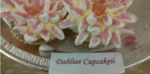 NT Dyffryn Gardens @NTDyffrynG on Twitter.