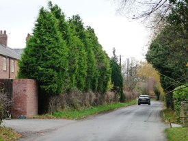  © Copyright Christine Johnstone and licensed for reuse under this Creative Commons Licence