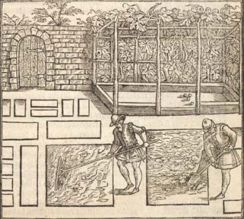  The quarters well turned in, and fatned with good dung a time be-fore, and the earth raysed through the dunging, shall in handsome maner by a line let down in the Earth, be troden out into beddes and seemely borders…p.25