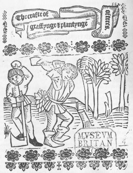 The crafte of graffynge & plantynge of trees, c.1520, British Library