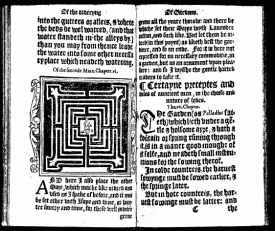 A maze design from A most briefe and pleasaunte treatise, firts edition 1558