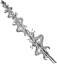 Nastiscreechia Krorluppia,Nonsesne Botany, 1871