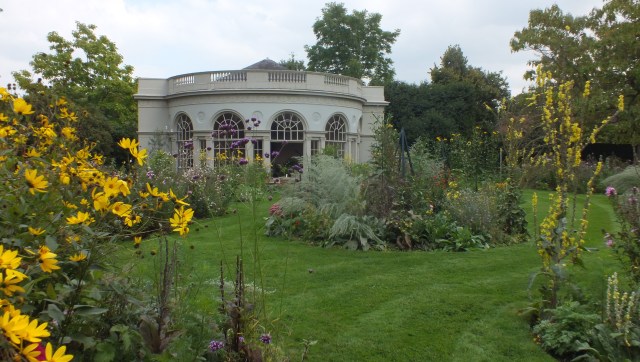 Mrs Child's Flowr Garden David Marsh Sept 2014