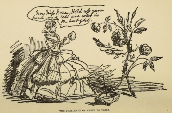 Sketch by John Leech from A Book aboout Roses