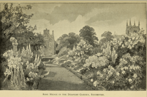 The Deanery Gardens at Rochester from A book about Roses (15th edition 1897)