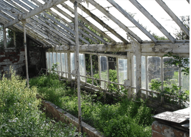 Ruins of a 1930s glasshouse http://www.staa-allotments.org.uk