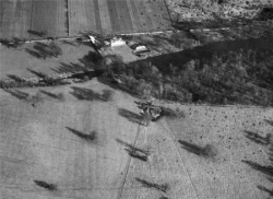 The Aviary and environs, Osterley, 1951. http://www.britainfromabove.org.uk