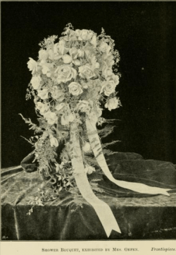 from The Book of the Rose by Rev Andrew Foster-Melliar, 1894