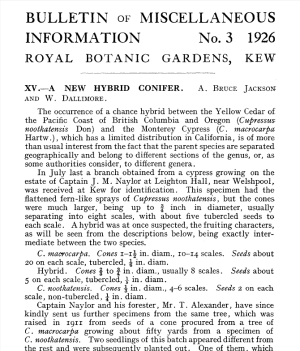 Frts page of Jackson and Dallimore's article in Kew Bulletin, 1926