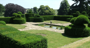 leylandii can make a decent hedge if it is manintained properly from http://www.maryharehistory.org.uk/photos/reunion2006/028_manor_fishpond_E_b.jpg