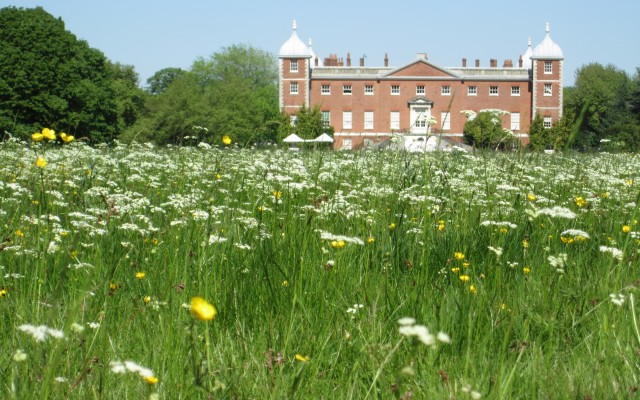 Osterley House http://thegoldhawkproject.com