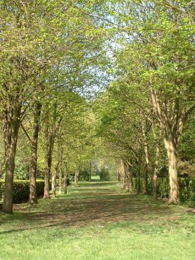 Whipsnade Tree Cathedral © Copyright Sheila Russell and licensed for reuse under this Creative Commons Licence.