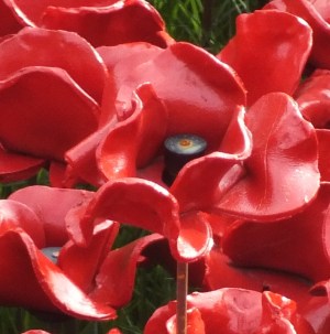 DSCF3331 - Version 2