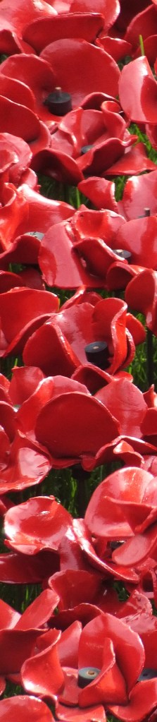 DSCF3331 - Version 4