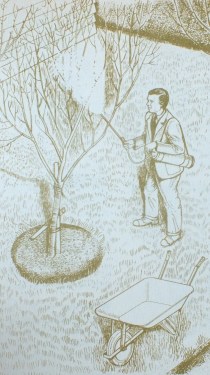 Percy spraying fruit trees in winter - and in his trademark jacket, tie and nice shoes