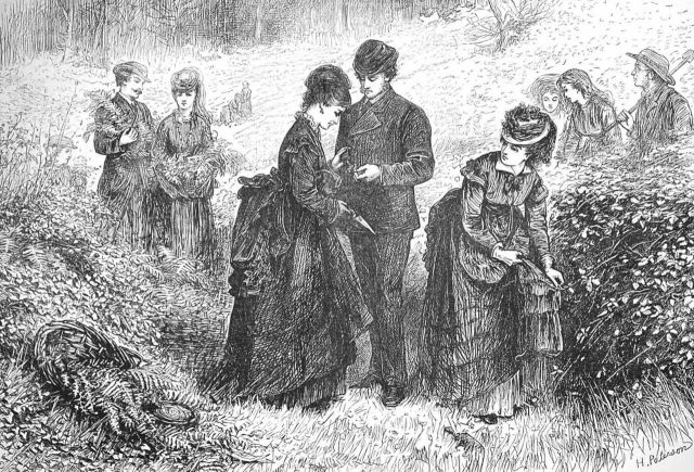Gathering Ferns, by Helen Allingham Illustrated Loondon News 1st July 1871