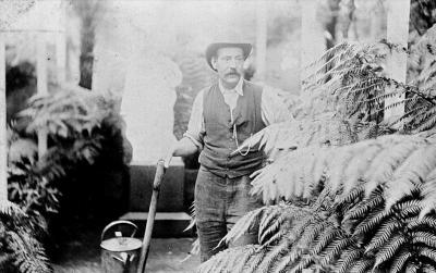 Gardener in a fernery http://museumvictoria.com.au
