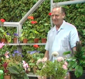 Percy in uncharacteristic muft BBC