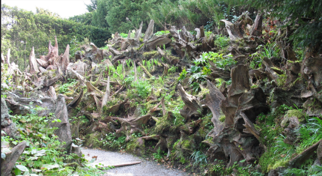 Esther Westerveld, Flickr.com