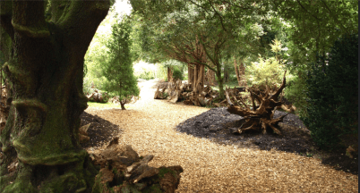 Creating the Stumpery in the Ickworth House gardens, by Gaboly, from Flickr.com