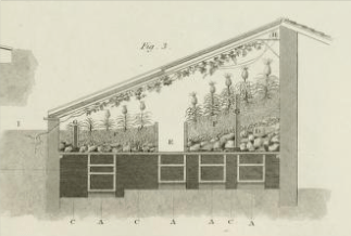 Pine house from Abraham Rees, Cyclopaedia, [Plates vol.3], 1820.