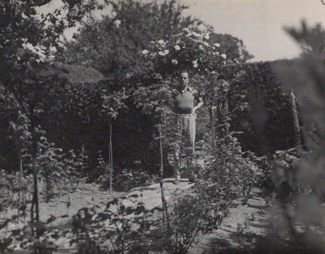 Beverly Nicholas, photo by Howard Coster, National Portrait Gallery