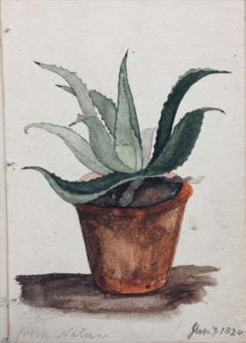 From Nature, by Edward Cooke aged 9, 1820 National Maritime Museum