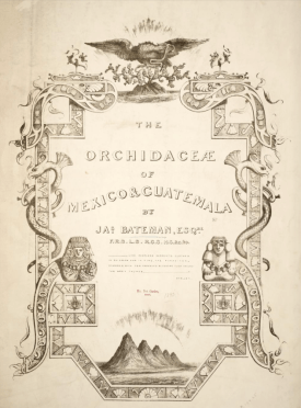 Tile page of The Orchidaceae of Mexico and Guatemala, James Bateman, 1837