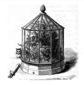 from On the growth of plants in closely glazed cases (1852)
