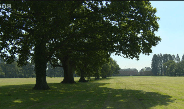 Screenshot from National Treasures of Wales, BBC Wales/Cymru,