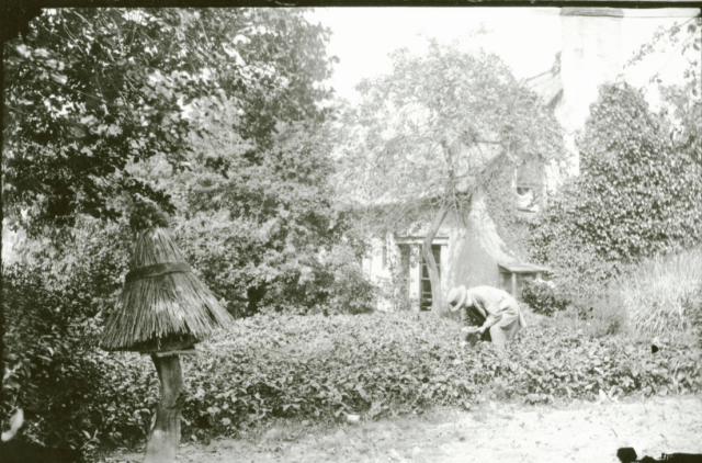 A straw covered skep in a garden at Lugwardine, Herefordshire, by Alfred Watkins c.1890