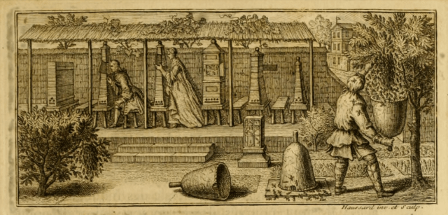 From Memoires pour Servir a l'Histoire des Insectes, Reaumur, 1740