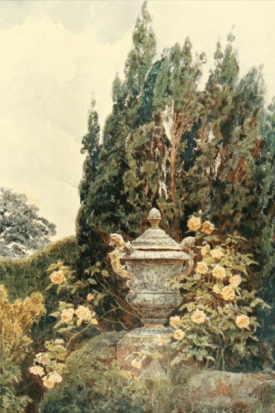 Gloire de Dijon at Penshurst from Some English Gardens