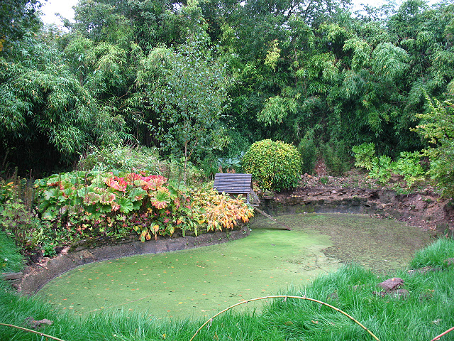 The former swimming pond. © Copyright Stephen Craven and licensed for reuse under this Creative Commons Licence.